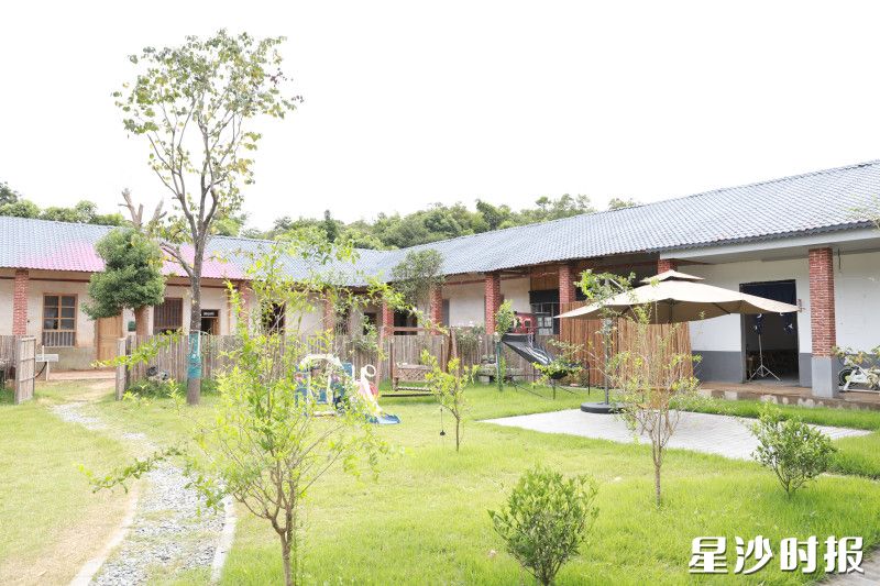 曾经的废旧操场，如今已经变成了绿意盎然的生态庭院。