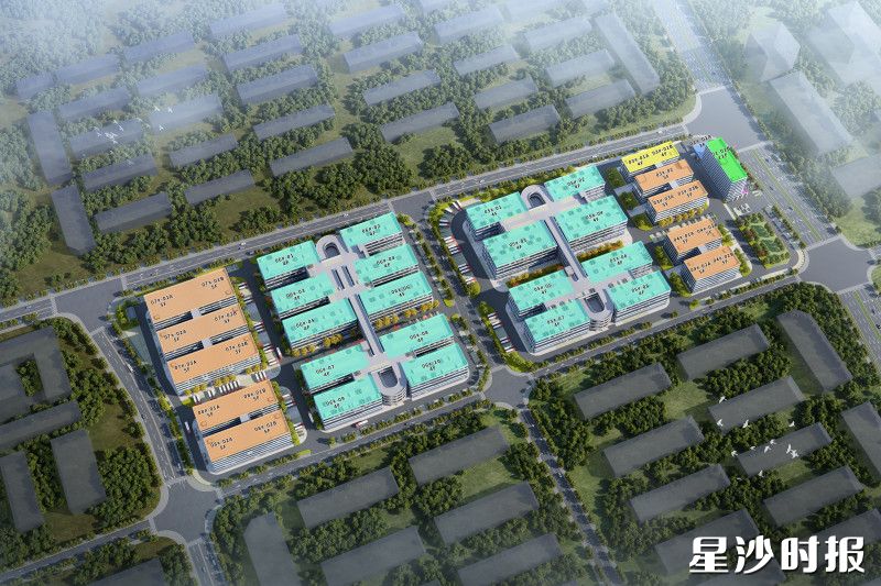 项目效果图。