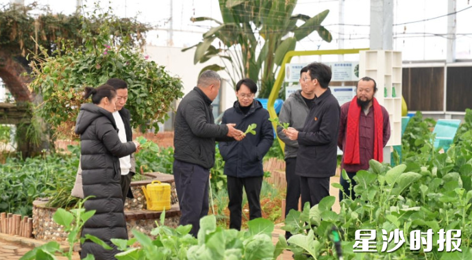 高桥镇委员活动组委员们走访辖区农业企业。 高桥镇委员活动组委员们走访辖区农业企业。