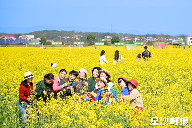 500余亩油菜花迎春盛放，游客们穿梭花间。