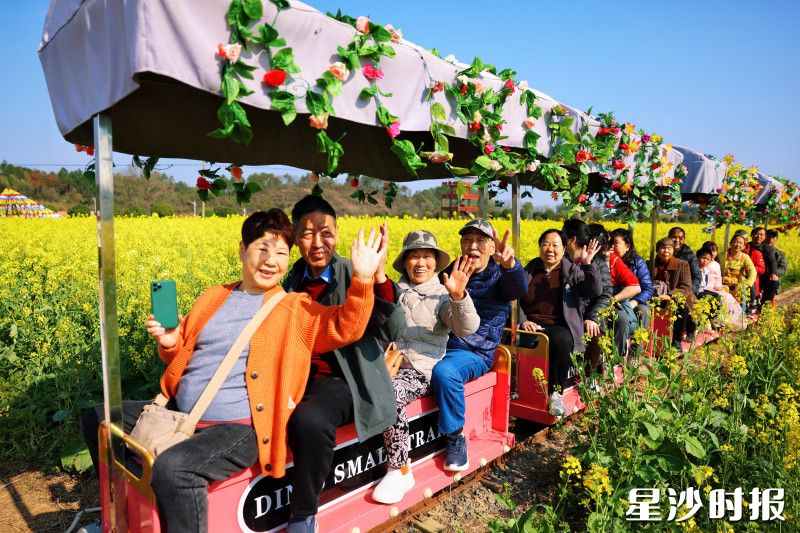 游客坐上小火车，徜徉在花海里。