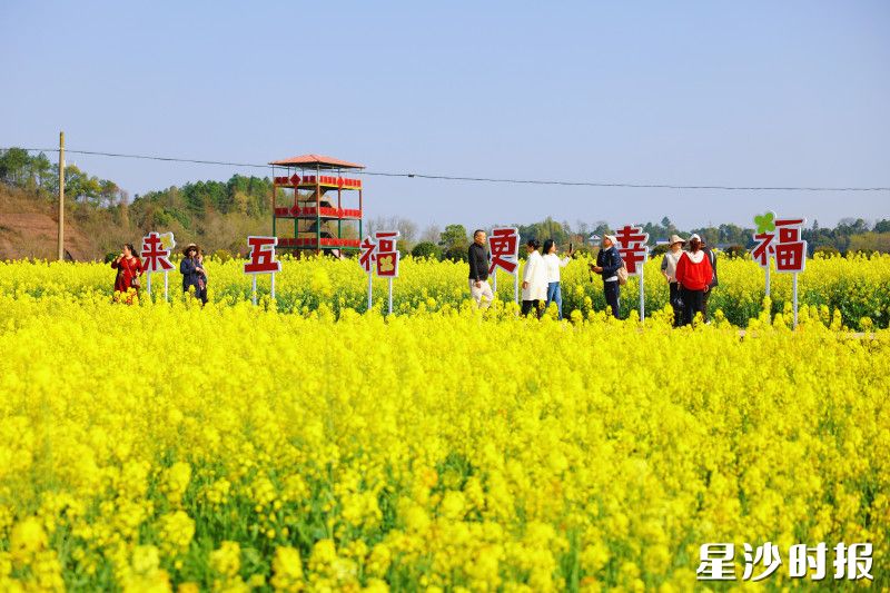 游客们踏着春光漫步花海。
