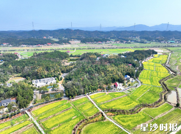 高桥镇维汉村小微水体管护样板片区建设顺利完成,有力提升了乡村人居环境。高桥镇供图