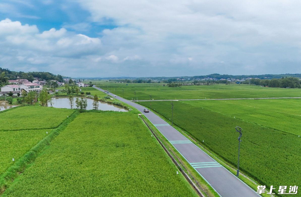 农村公路铺就乡村振兴新“途”景。均为资料图片