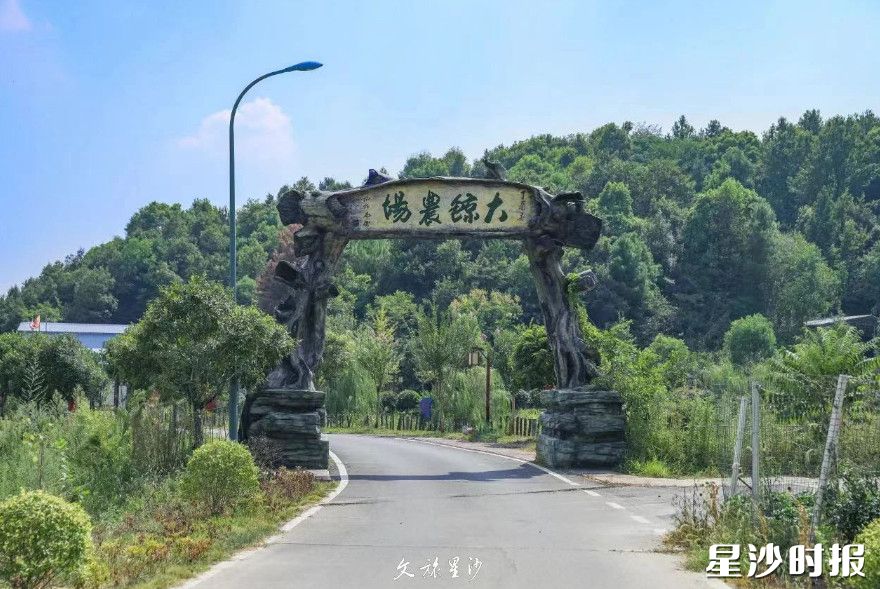 大鲸农场背靠着山，视野开阔，是个天然的“农村公园”。