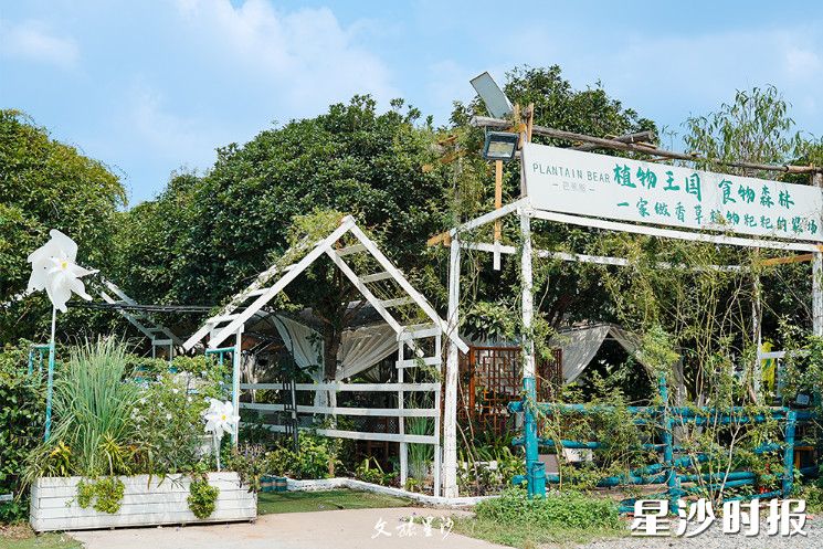 在半山坡生态农场，坐在花草间喝茶聊天，感受凉爽与惬意。