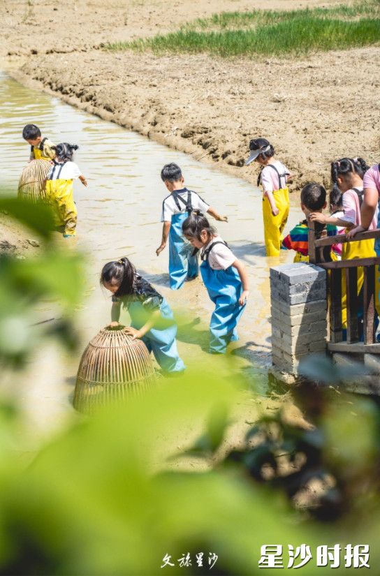 在九熹家庭农场，孩子们可以尽情玩乐。