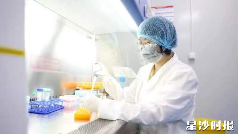 图为长沙瑞德体外生物科技有限公司实验室。盛磊 摄