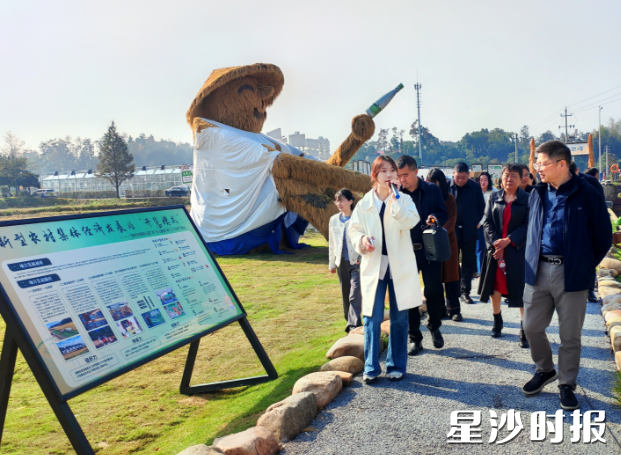 调研现场。长沙市生态环境局长沙县分局(县环委办)供图 调研现场。长沙市生态环境局长沙县分局(县环委办)供图