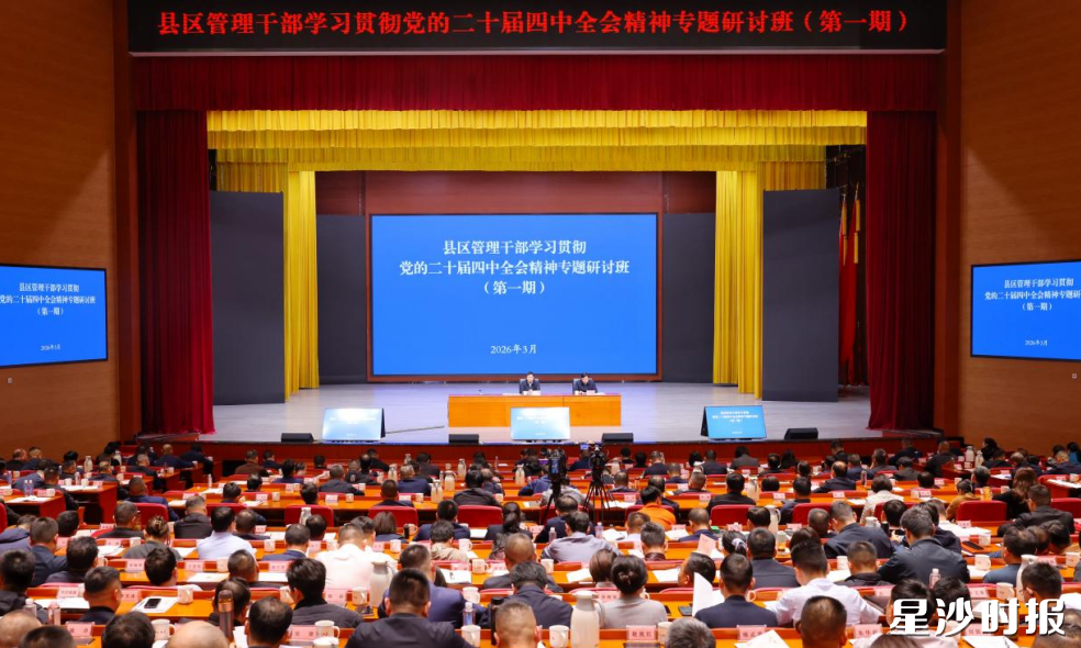 会议现场。均为曾诗怡 摄 会议现场。均为曾诗怡 摄