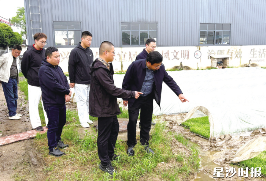 长沙县组织科技特派员深入田间地头指导春耕生产。杨源 摄