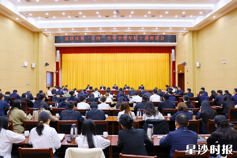 会议现场。均为曾诗怡 摄