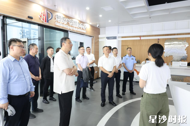 中国(湖南)自贸区知识产权服务中心调研现场。均为胡欢欢 摄