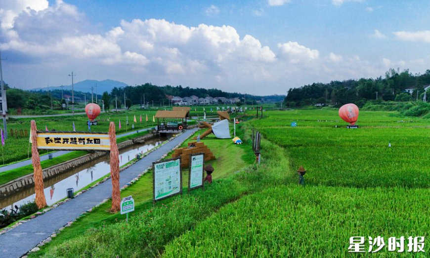 开慧镇开慧村“我在开慧有丘田”打卡点。章帝 摄 开慧镇开慧村“我在开慧有丘田”打卡点。章帝 摄