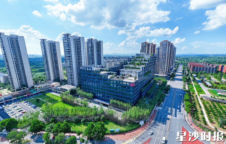 长龙街道中南大学科技园人工智能产业基地。章帝 摄 长龙街道中南大学科技园人工智能产业基地。章帝 摄