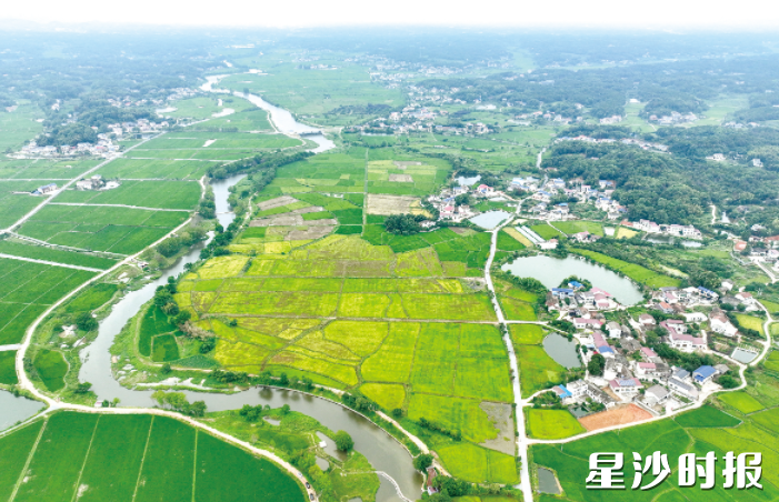 长沙县以河湖长制为引领，坚持精准治污、生态治理、项目融合，实现曾经的“纳污河”蜕变为水清岸绿、人水和谐“幸福河”的治理历程。资料图片