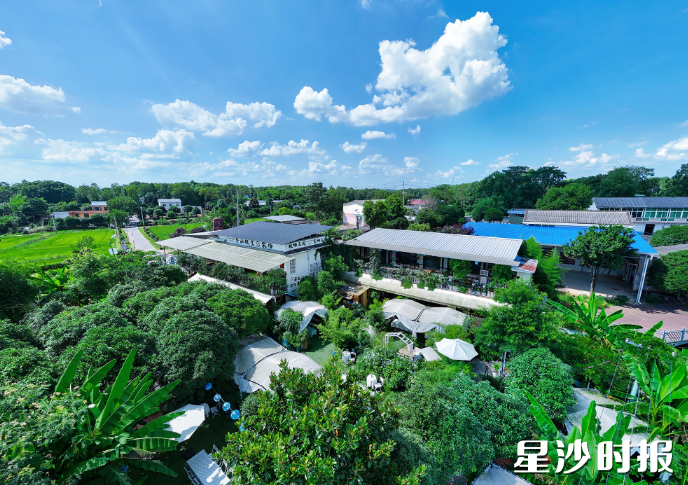 芭蕉熊半山坡生态农场是一处由18亩土地蜕变成的“植物王国食物森林”,几百种绿植、一百多种花卉在这里恣意生长。章帝 摄 芭蕉熊半山坡生态农场是一处由18亩土地蜕变成的“植物王国食物森林”,几百种绿植、一百多种花卉在这里恣意生长。章帝 摄